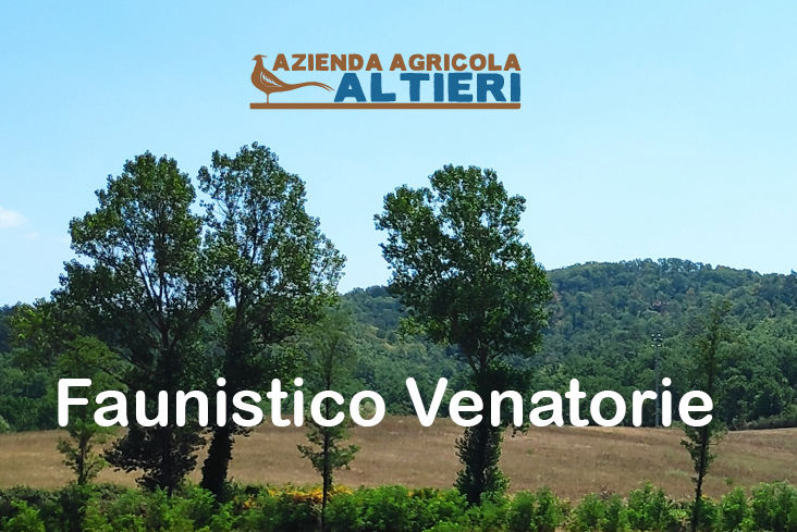 agricola altieri caccia in toscana muflone