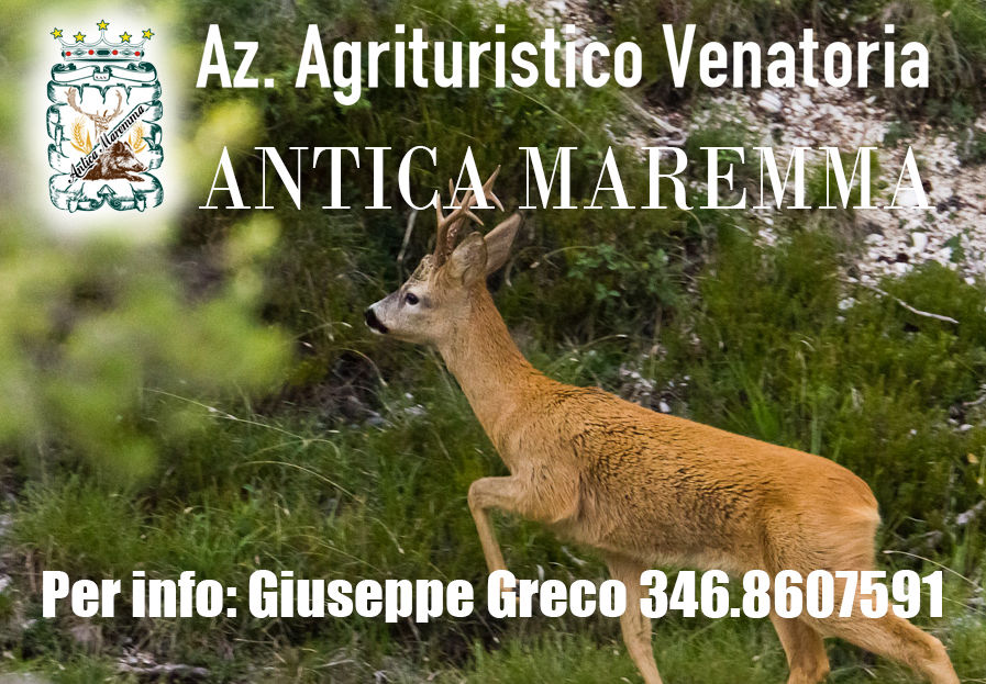 caccia al capriolo riserva antica maremma