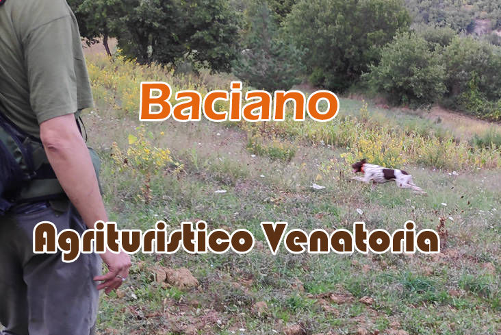 baciano caccia al fagiano in toscana