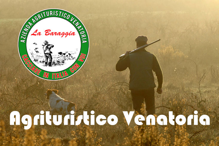 la baraggia caccia al Cervo in piemonte