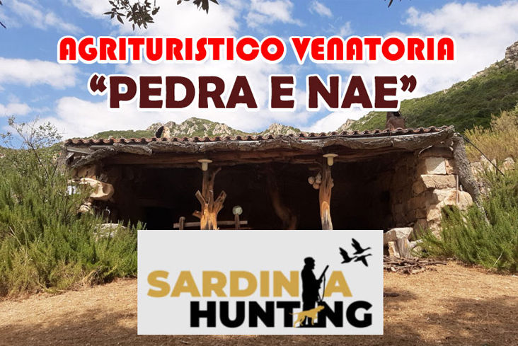 caccia al Cinghiale in sardegna Pedra e Nae
