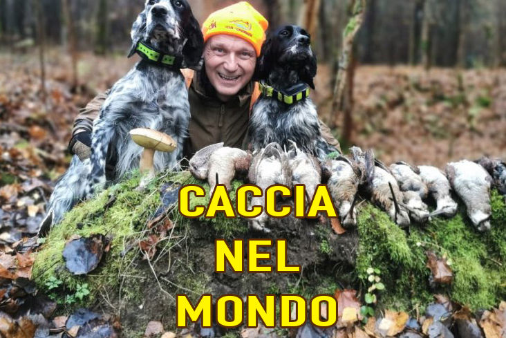 caccia nel mondo caccia al cinghiale in slovacchia