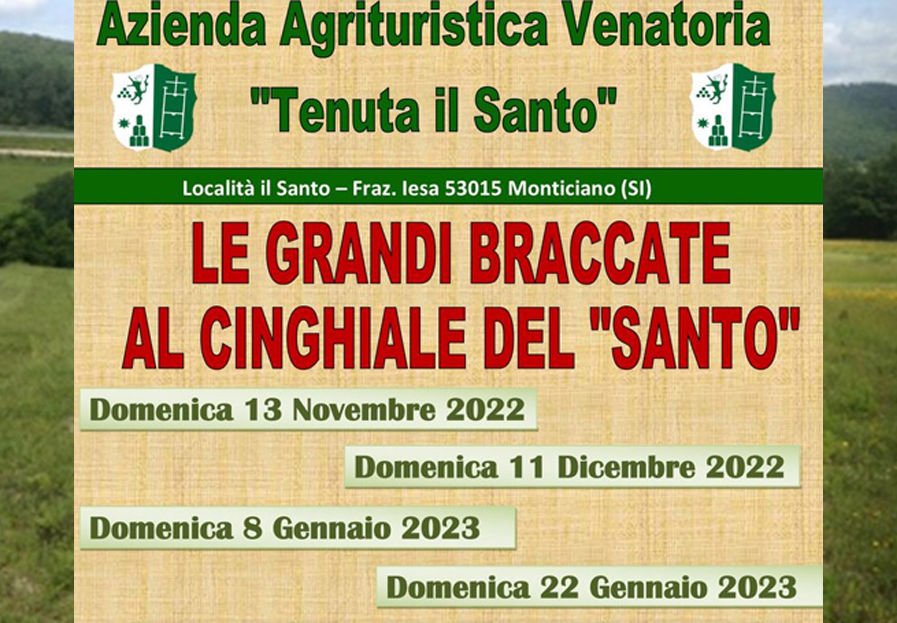 caccia al capriolo e daino a il santo riserva