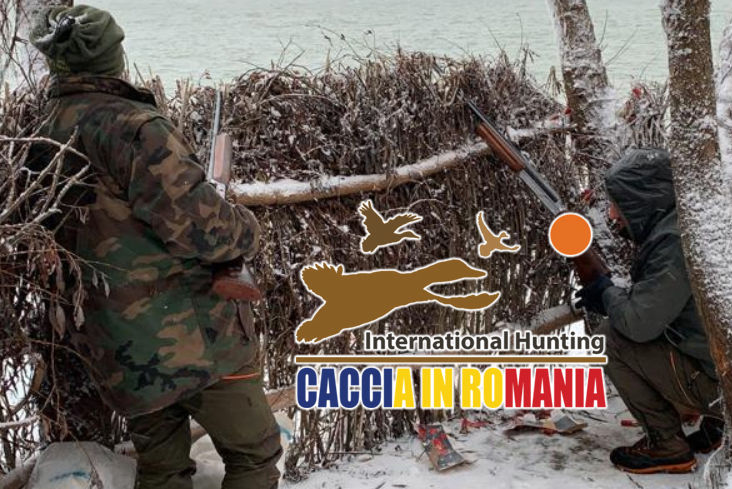 international hunting caccia al cervo in romania
