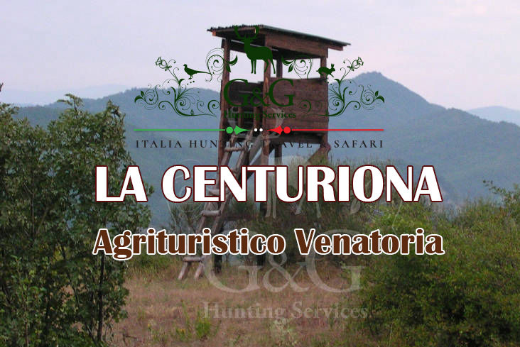 la centuriona caccia al cinghiale in piemonte