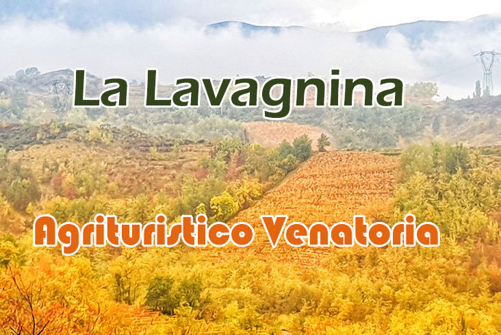 La lavagnina caccia al cinghiale in piemonte