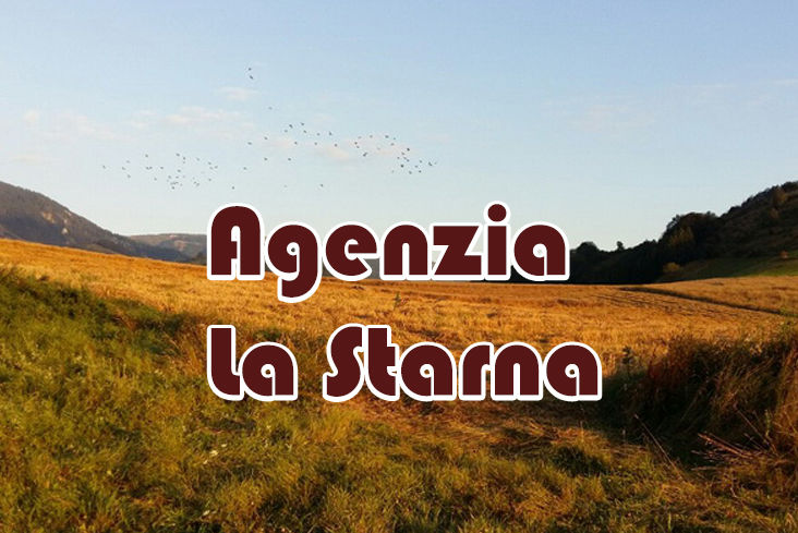 la starna caccia al cinghiale in serbia