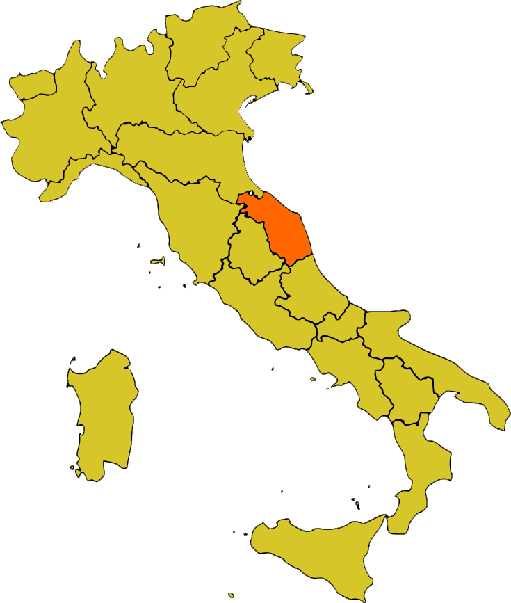 caccia agli ungulati nelle marche cervo capriolo daino cinghiale muflone