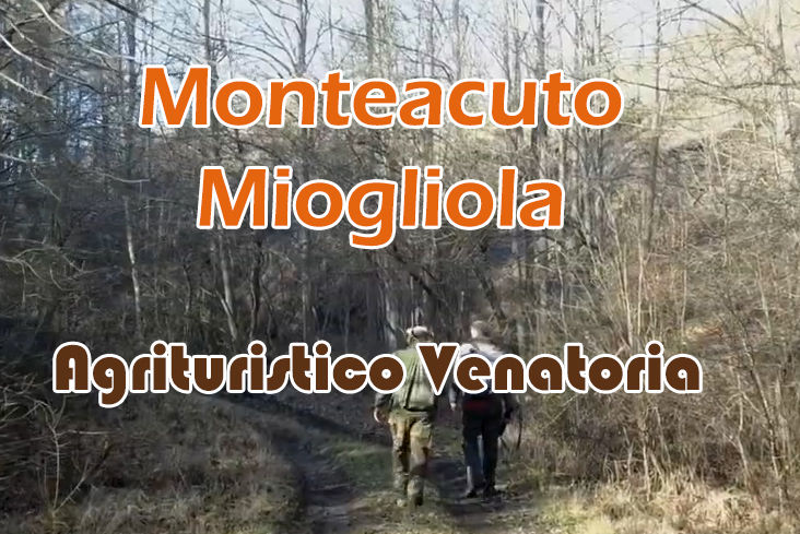 Monteacuto Miogliola caccia al cinghiale in piemonte